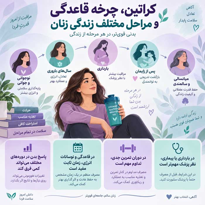 بهترین زمان مصرف کراتین برای بانوان؛ قبل یا بعد از تمرین و کدام زمان مؤثرتر است؟ کراتین، چرخه قاعدگی و مراحل مختلف زندگی زنان