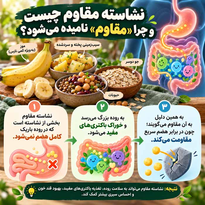 نشاسته مقاوم چیست؟؛ تفاوت با نشاسته معمولی؛ منابع غذایی و نقش آن در سلامت روده نشاسته مقاوم چیست و چرا «مقاوم» نامیده میشود؟
