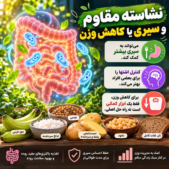 نشاسته مقاوم چیست؟؛ تفاوت با نشاسته معمولی؛ منابع غذایی و نقش آن در سلامت روده نشاسته مقاوم و سیری یا کاهش وزن
