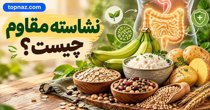 نشاسته مقاوم چیست؟؛ تفاوت با نشاسته معمولی؛ منابع غذایی و نقش آن در سلامت روده نشاسته مقاوم چیست؟؛ تفاوت با نشاسته معمولی؛ منابع غذایی و نقش آن در سلامت روده