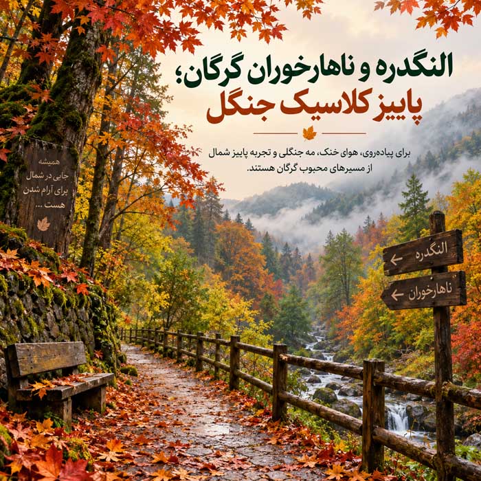 جاهای دیدنی پاییزی ایران؛ جنگل، روستا و کویر؛ بهترین مقصدهای طبیعتگردی در پاییز النگدره و ناهارخوران گرگان؛ پاییز کلاسیک جنگل