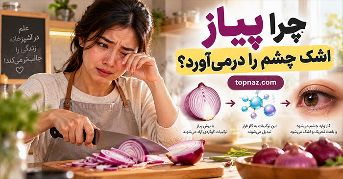 چرا پیاز اشک چشم را درمی‌آورد؟؛ واکنش‌های گوگردی پس از برش؛ عامل اشک‌آور چگونه ساخته می‌شود؟