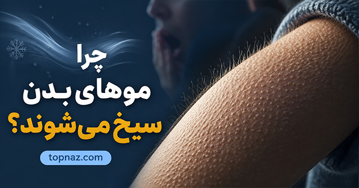 چرا موهای بدن سیخ میشوند؟؛ علت علمی Goosebumps؛ نقش سرما، ترس و سیستم عصبی سمپاتیک چرا موهای بدن سیخ میشوند؟؛ علت علمی Goosebumps؛ نقش سرما، ترس و سیستم عصبی سمپاتیک