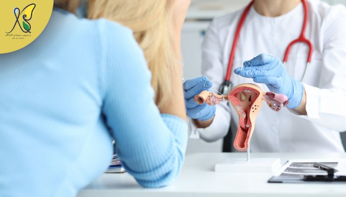پشتپردهی ناباروریهای بیدلیل، آنچه بدن شما سعی دارد از شما پنهان کند! پشتپردهی ناباروریهای بیدلیل، آنچه بدن شما سعی دارد از شما پنهان کند!