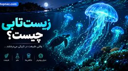 زیست‌تابی چیست؟؛ موجودات چگونه نور تولید می‌کنند؟؛ راز درخشش جانوران دریایی در تاریکی