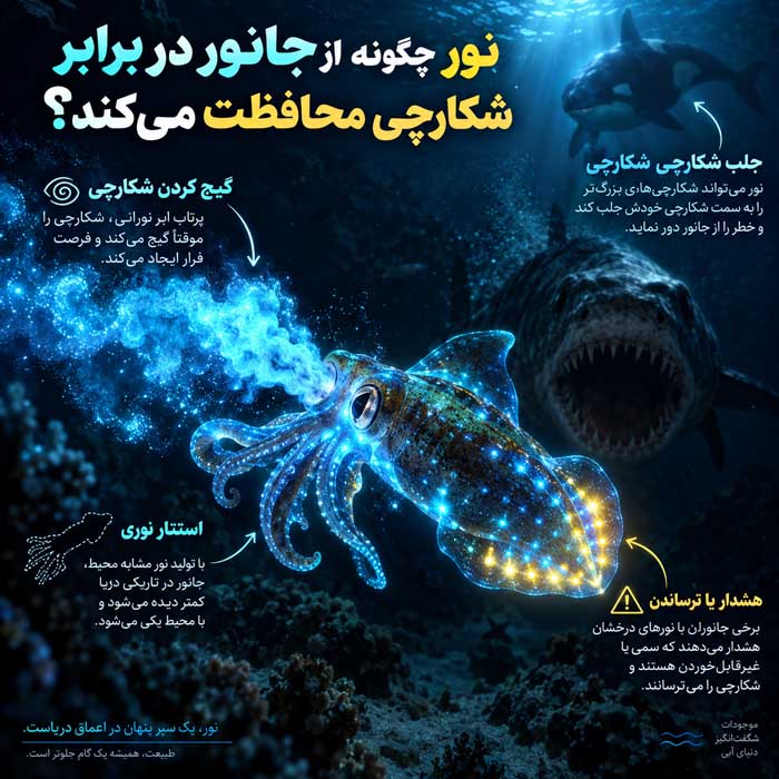 نور چگونه از جانور در برابر شکارچی محافظت می‌کند؟