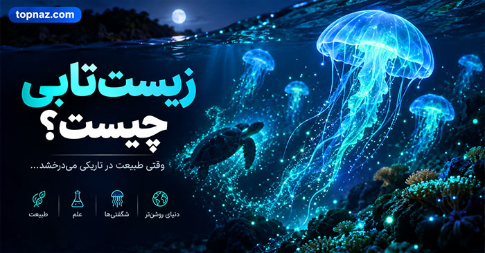 زیست‌تابی چیست؟؛ موجودات چگونه نور تولید می‌کنند؟؛ راز درخشش جانوران دریایی در تاریکی