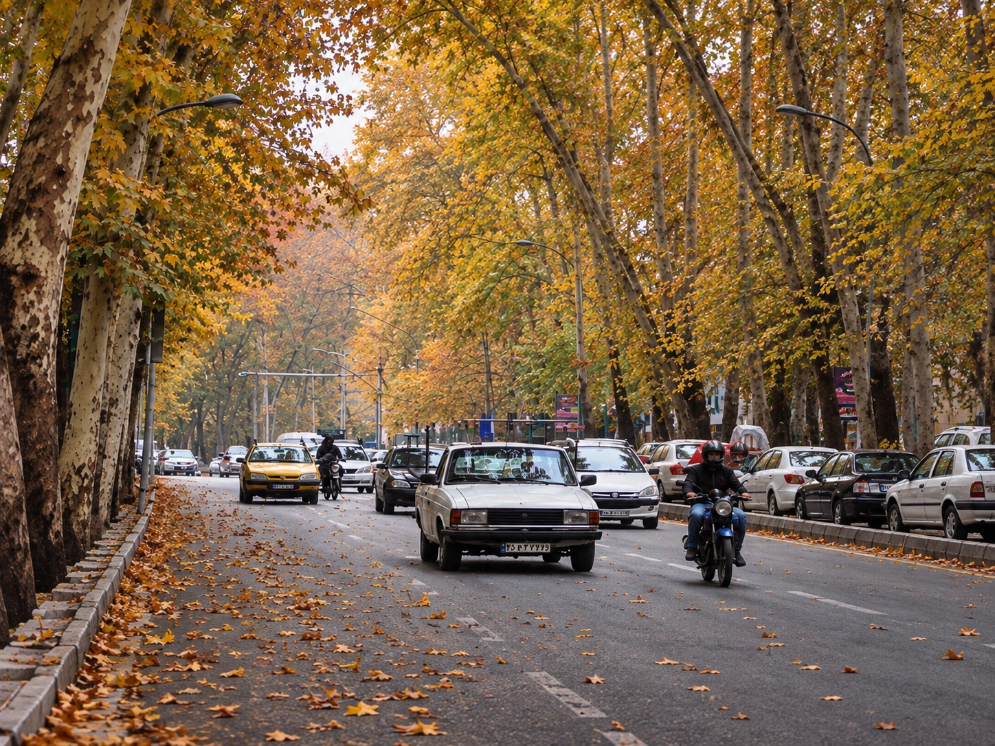 جاهای دیدنی تهران در پاییز؛ 14 لوکیشن دل انگیز پاییزی جاهای دیدنی تهران در پاییز؛ 14 لوکیشن دل انگیز پاییزی