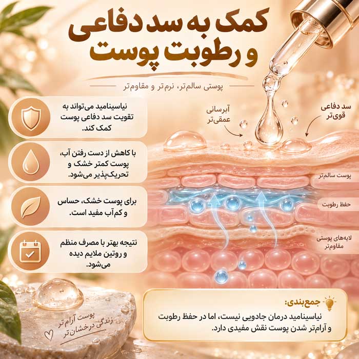 نیاسینامید چیست؟؛ کاربرد برای چربی و ظاهر منافذ؛ روش مصرف و انتخاب غلظت مناسب کمک به سد دفاعی و رطوبت پوست