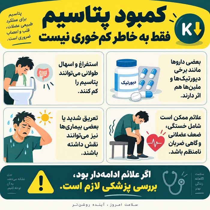 چه غذاهایی پتاسیم زیادی دارند؟؛ بهترین منابع غذایی؛ مقدار پتاسیم در هر وعده کمبود پتاسیم فقط به خاطر کمخوری نیست