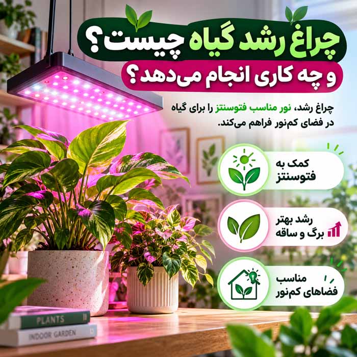 چراغ رشد گیاه چیست و چه کاری انجام می‌دهد؟
