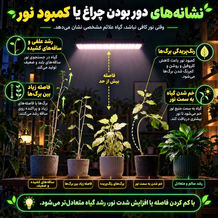 نشانه‌های دور بودن چراغ یا کمبود نور
