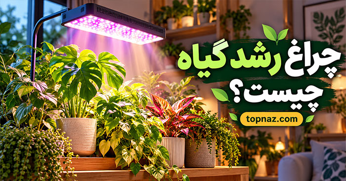 چراغ رشد گیاه چیست؟ فاصله مناسب و مدت روشن بودن Grow Light برای گیاهان