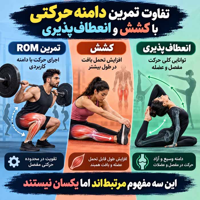 دامنه حرکتی در بدنسازی چیست؟ تفاوت تکرار کامل و نیمه برای عضلهسازی تفاوت تمرین دامنه حرکتی با کشش و انعطافپذیری