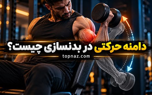 دامنه حرکتی در بدنسازی چیست؟ تفاوت تکرار کامل و نیمه برای عضله‌سازی