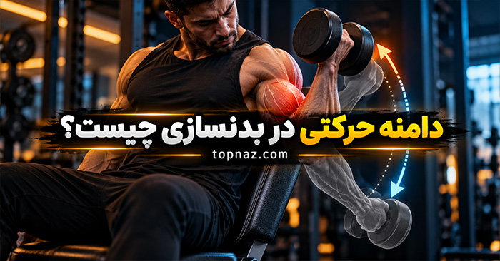 دامنه حرکتی در بدنسازی چیست؟ تفاوت تکرار کامل و نیمه برای عضلهسازی دامنه حرکتی در بدنسازی چیست؟ تفاوت تکرار کامل و نیمه برای عضلهسازی