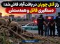راز قتل چوپان در یافتآباد فاش شد | دستگیری قاتل و همدستش راز قتل چوپان در یافتآباد فاش شد