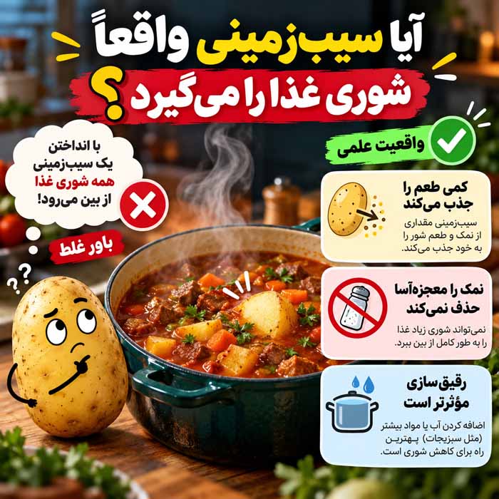 غذای شور را چگونه نجات دهیم؟؛ روش گرفتن شوری انواع غذا؛ از خورش و سوپ تا برنج و ماکارونی آیا سیبزمینی واقعاً شوری غذا را میگیرد؟