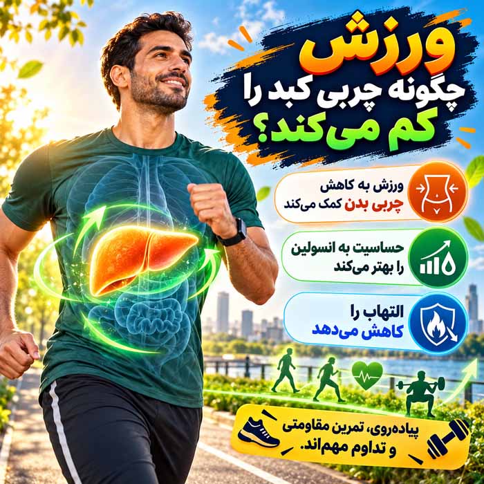 آیا کبد چرب قابل درمان است؟ روشهای کنترل، بهبود و جلوگیری از پیشرفت بیماری ورزش چگونه چربی کبد را کم میکند؟