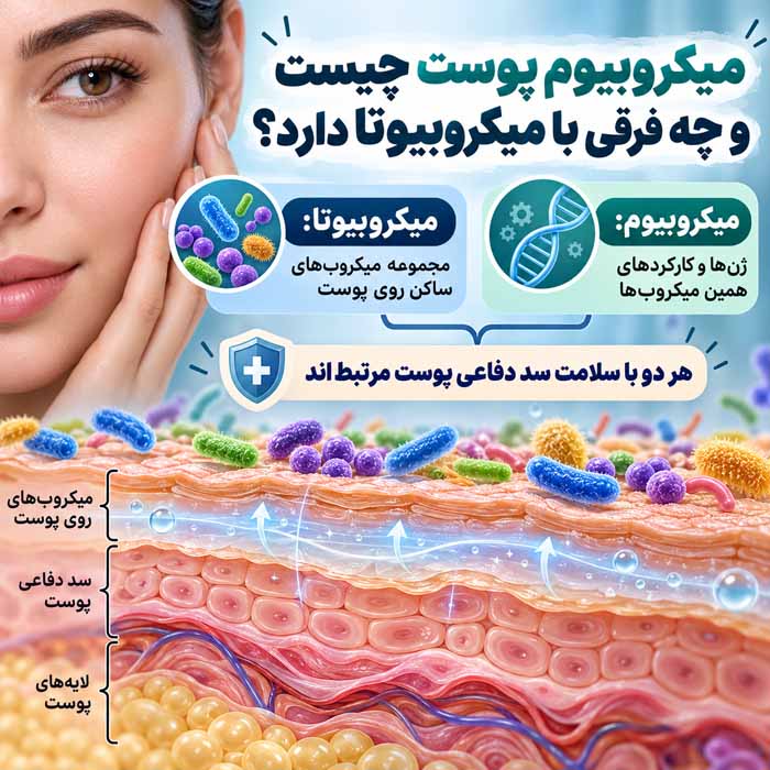 میکروبیوم پوست چیست؟؛ باکتریهای مفید چگونه از پوست محافظت میکنند؟؛ نقش آن در سلامت و تعادل پوستی میکروبیوم پوست چیست و چه فرقی با میکروبیوتا دارد؟