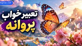 تعبیر خواب پروانه؛ معنی پروانه رنگی، سفید و نشستن پروانه روی بدن