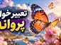 تعبیر خواب پروانه؛ معنی پروانه رنگی، سفید و نشستن پروانه روی بدن تعبیر خواب پروانه