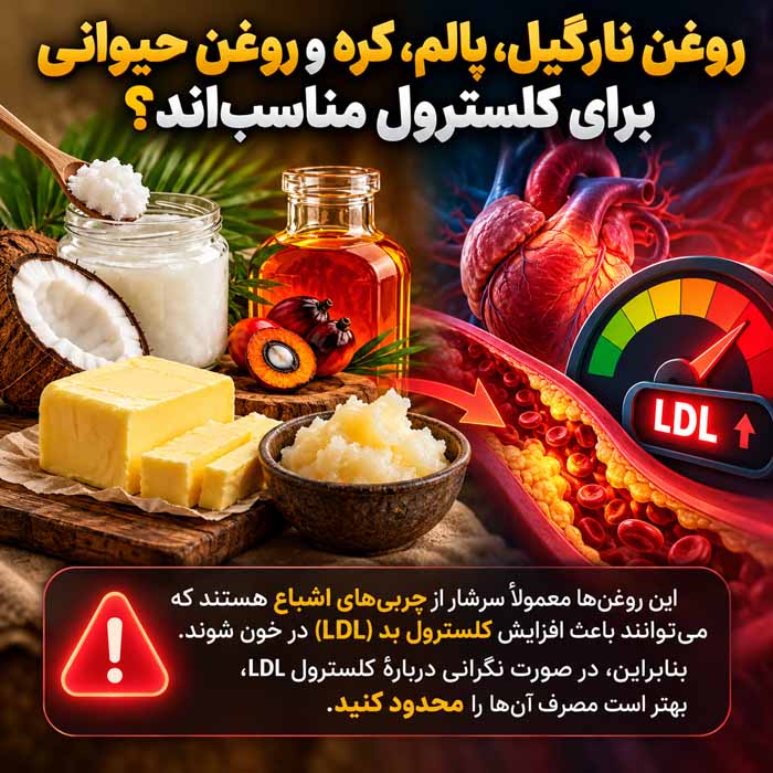 کدام روغن خوراکی برای قلب و کلسترول بهتر است؟؛ مقایسه چربی اشباع و غیراشباع؛ از زیتون و کانولا تا نارگیل روغن نارگیل، پالم، کره و روغن حیوانی برای کلسترول مناسباند؟
