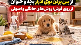 از بین بردن بوی ادرار بچه و حیوان از روی فرش؛ روشهای خانگی و اصولی از بین بردن بوی ادرار بچه و حیوان از روی فرش؛ روشهای خانگی و اصولی