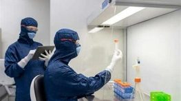شایعه مرگ دانشجوی دندانپزشکی بر اثر طاعون در کرمانشاه تکذیب شد