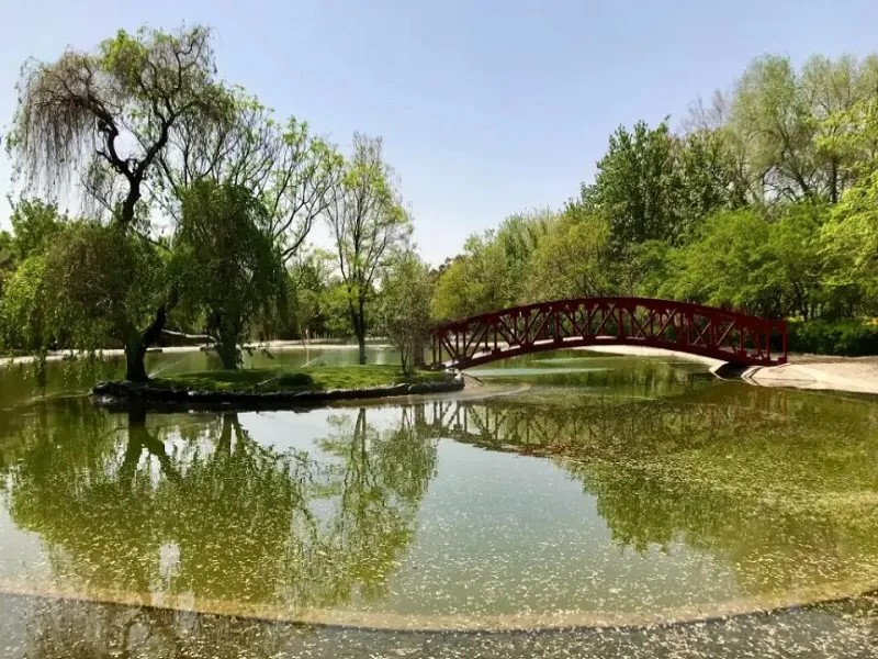 تهران در پاییز کجا بریم؟ بهترین جاها برای گشتوگذار در فصل پاییز تهران در پاییز کجا بریم؟ بهترین جاها برای گشتوگذار در فصل پاییز